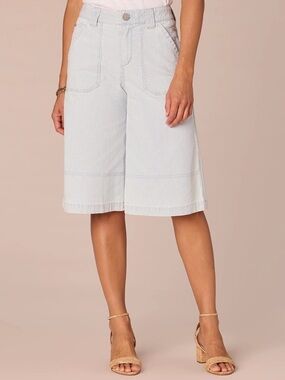 Democracy High Rise Bermuda Shorts Size 4 Powder Blue Railroad Stripe Wide Leg